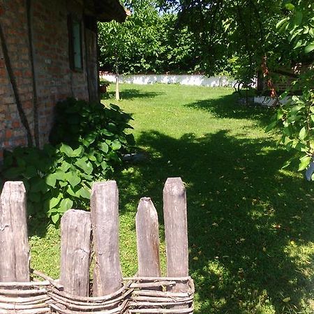 Lodge Morava Врнячка-Баня Екстер'єр фото