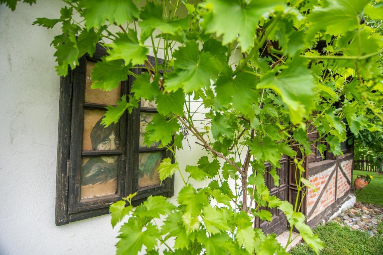 Lodge Morava Врнячка-Баня Екстер'єр фото