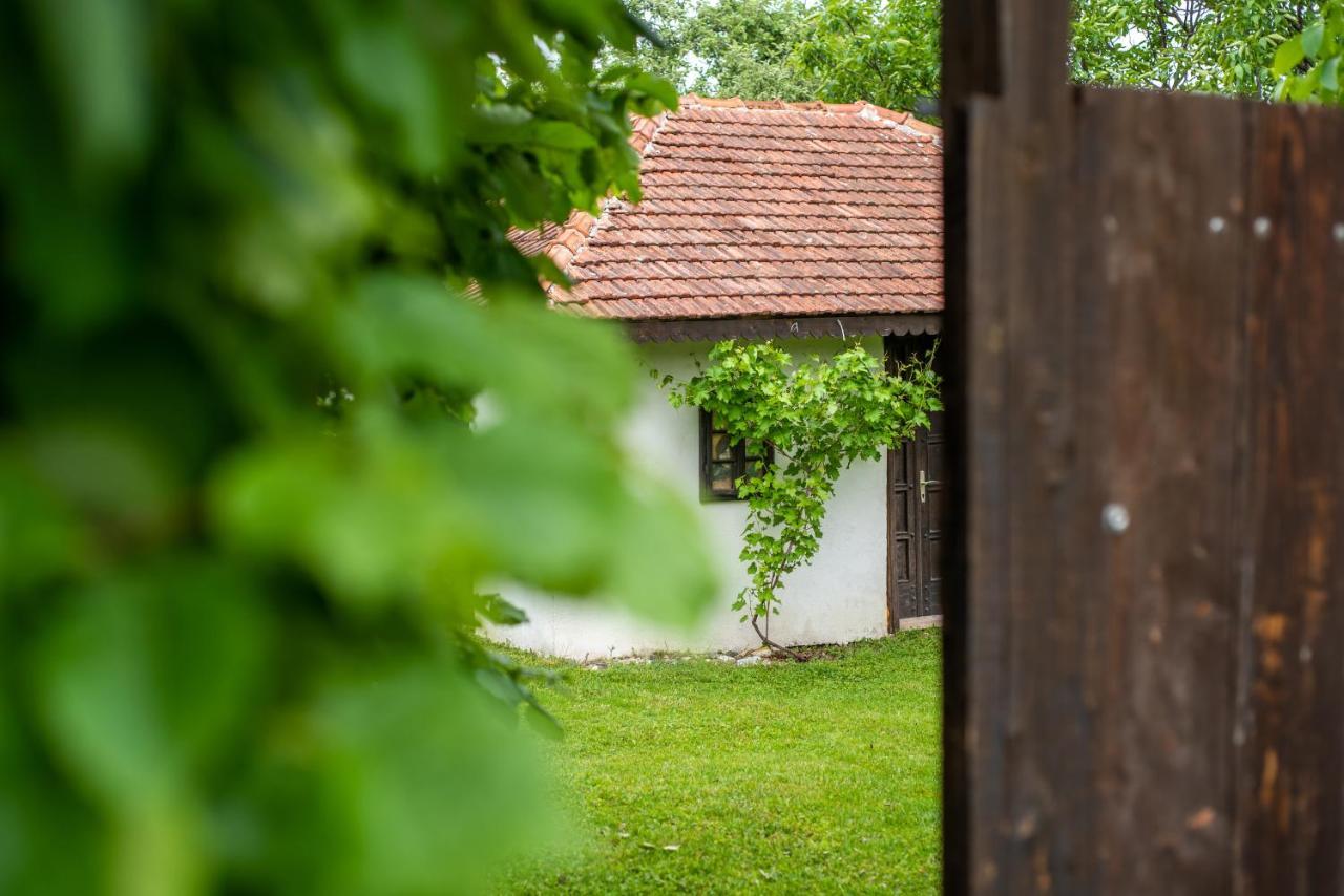 Lodge Morava Врнячка-Баня Екстер'єр фото